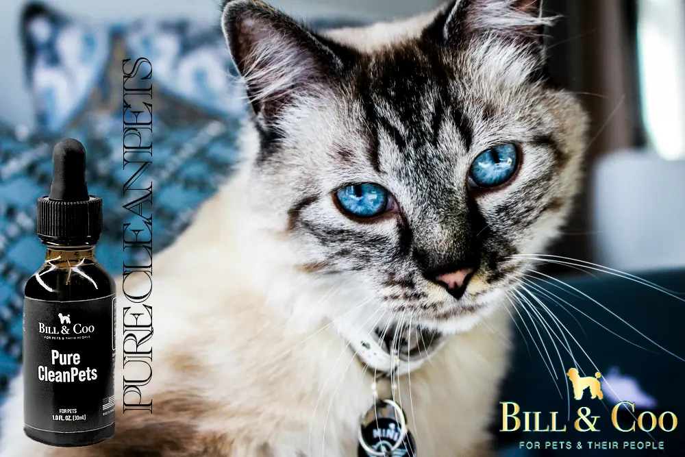 cat-pure-clean-pets-product